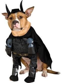 The Dark Knight Rises Batman Pet Costume