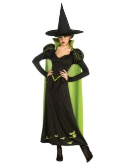 The Wizard Of Oz Wicked Witch Adult Costume