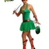Womens Sexy Teenage Mutant Ninja Turtles Raphael Costume