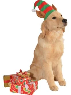 Red And Green Elf Ears Pet Hat