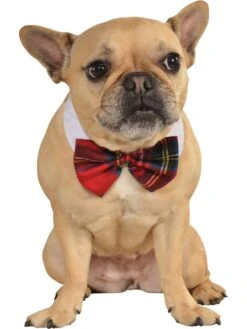 Plaid Pet Bow Tie Accessory