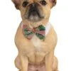 Christmas Classic Pet Bowtie