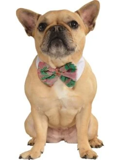 Christmas Classic Pet Bowtie