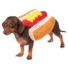 Hot Diggity Dog Pet Costume