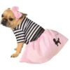 1950's Pink Poodle Skirt Pet Costume