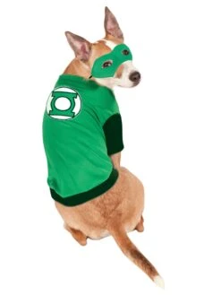 Justice League Green Lantern Pet T-Shirt And Mask
