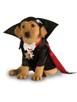 Dracula Pet Costume