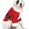 Santa Claus Pet Costume