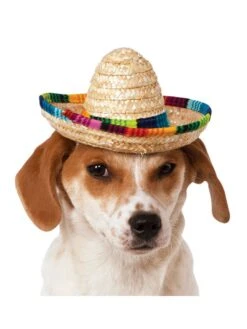 Straw Sombrero Pet Hat