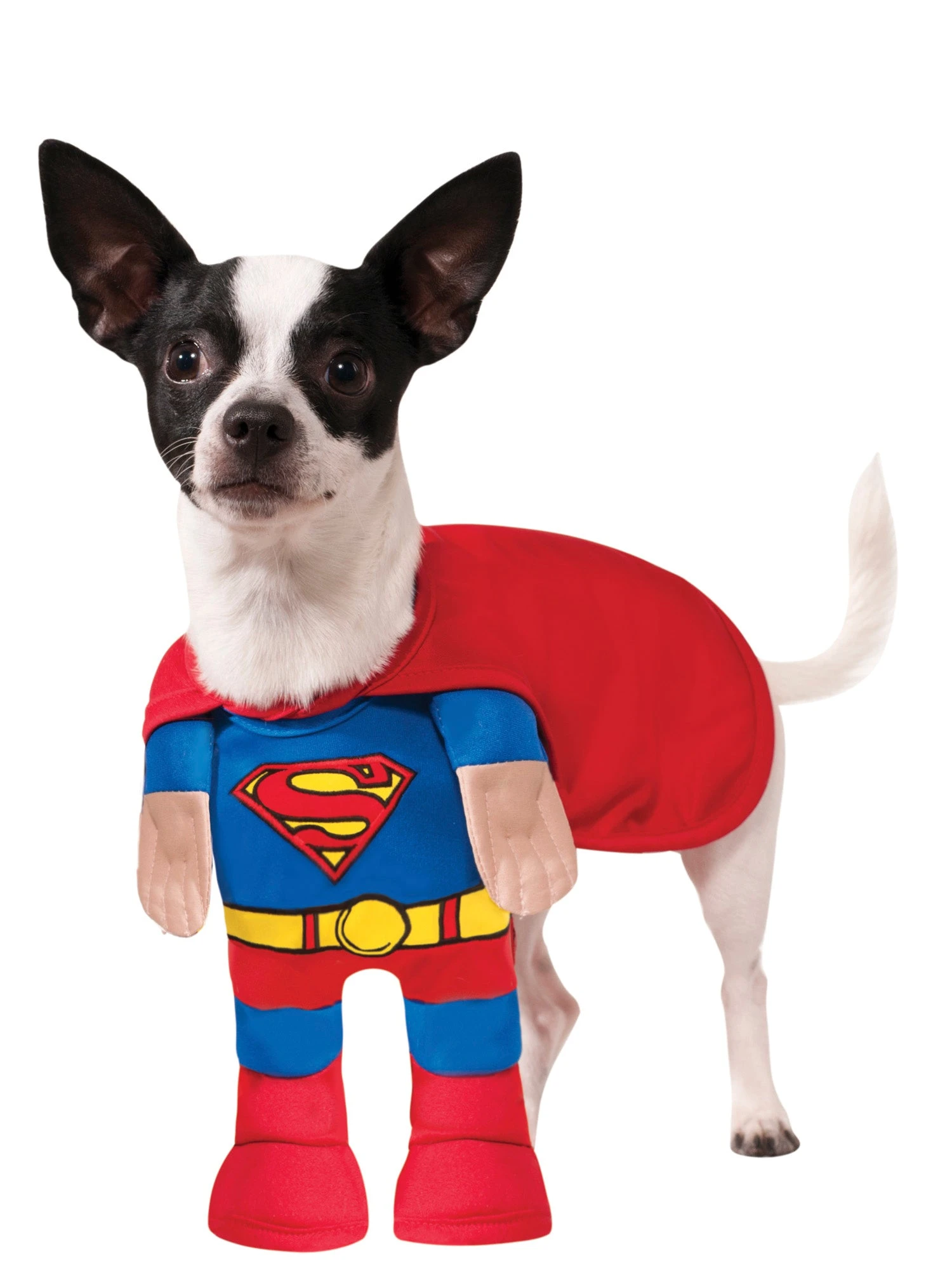 Superman Walking Pet Costume 1 Superman Walking Pet Costume