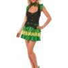 Womens Sexy Lucky Charm Costume