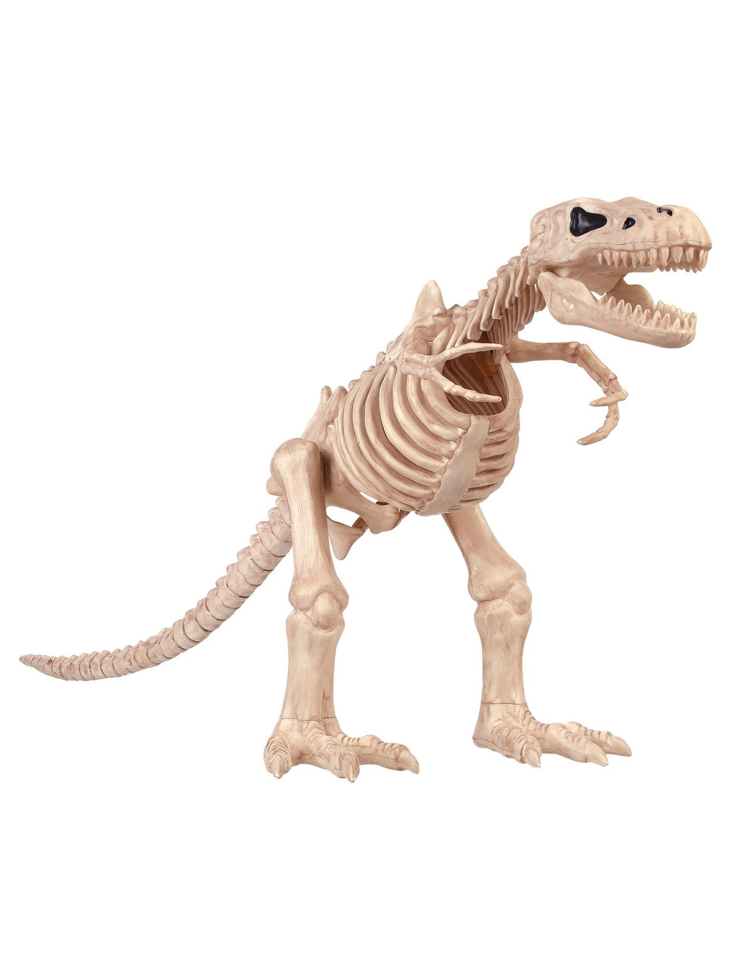 T Rex Skeleton Prop 1 T Rex Skeleton Prop