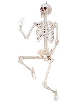 7 Foot Skeleton Posable Hanging Decoration