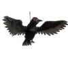 Animated Flying Crow