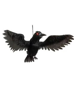Animated Flying Crow
