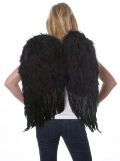 Black Feather Wings
